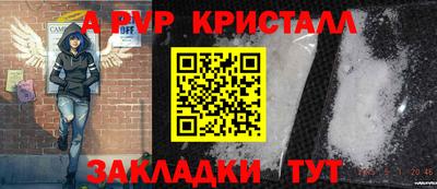 крисы Тула