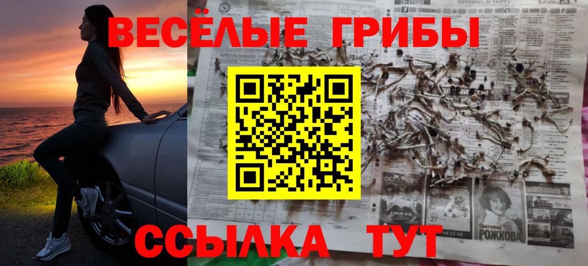 Ачинск  Галлюциногенные грибы MAGIC MUSHROOMS  где купить наркоту  Вход с VPN  Псилоцибиновые грибы Psilocybe 